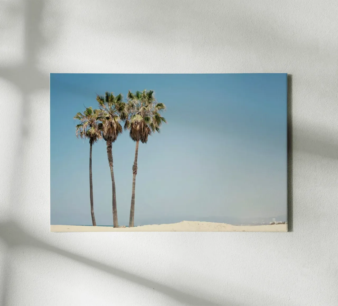 Venice Beach Palms tela con Cornice a cassetta da Catherine McDonald