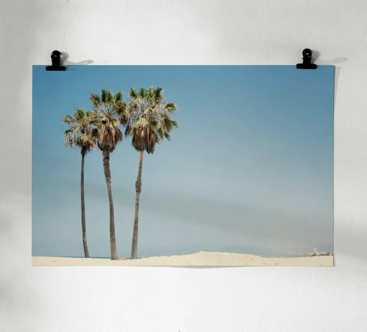 Venice Beach Palms carta hahnemühle da Catherine McDonald
