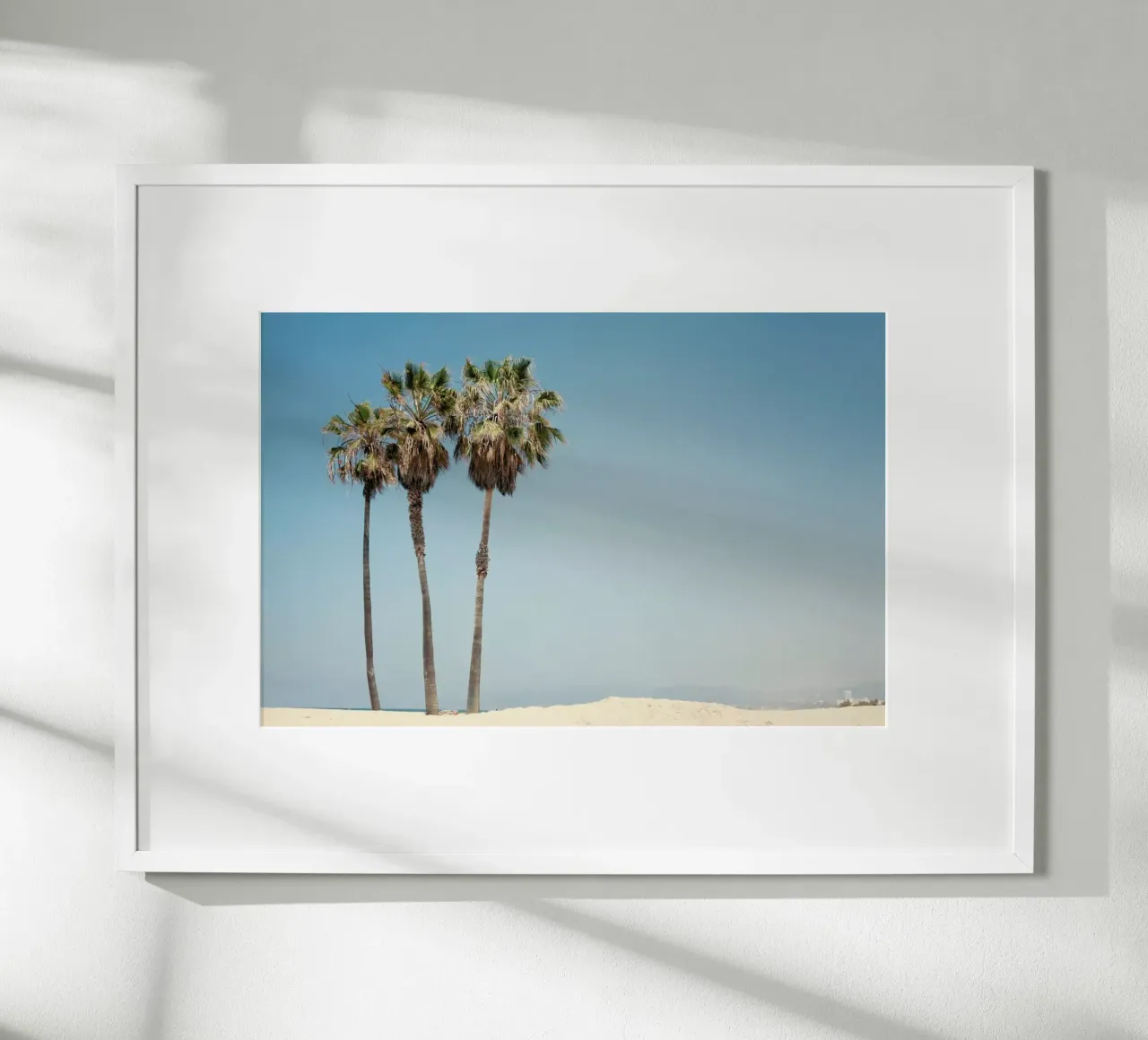 Venice Beach Palms carta hahnemühle da Catherine McDonald