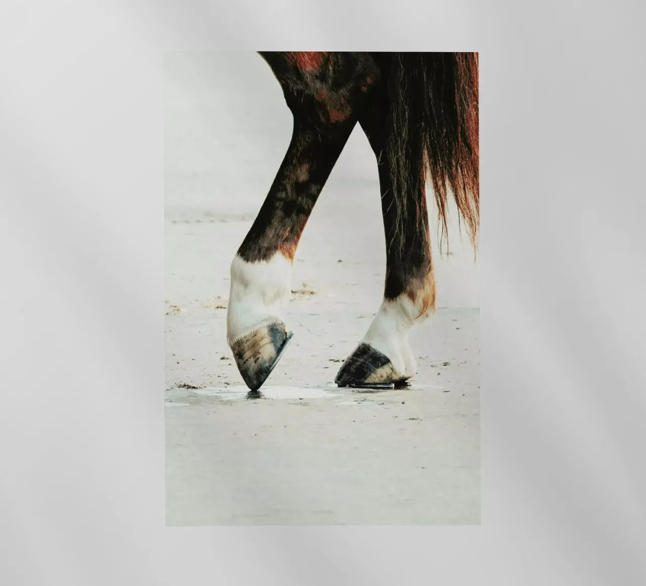 Tango pellicola backlit da Ingrid Beddoes