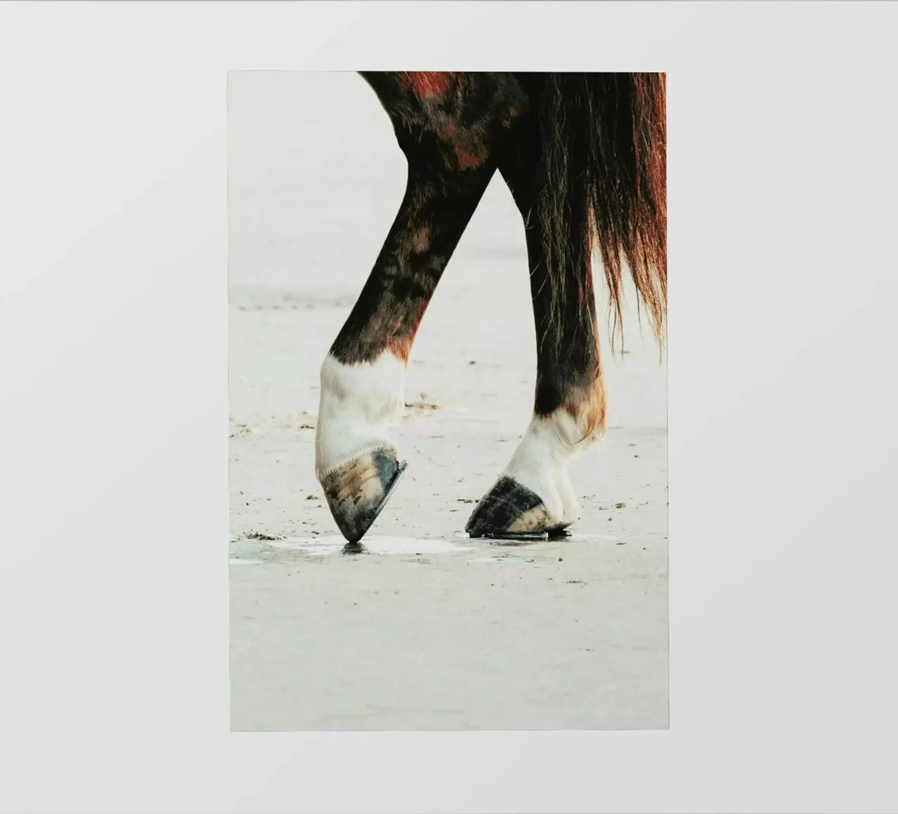 Tango pellicola backlit da Ingrid Beddoes