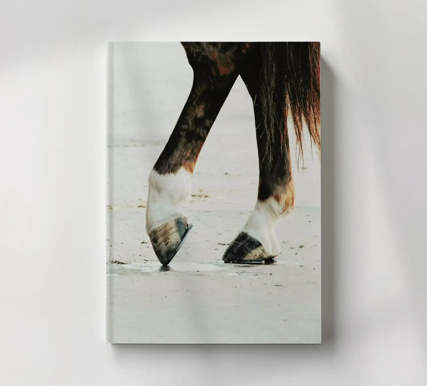 Tango notebook by Ingrid Beddoes