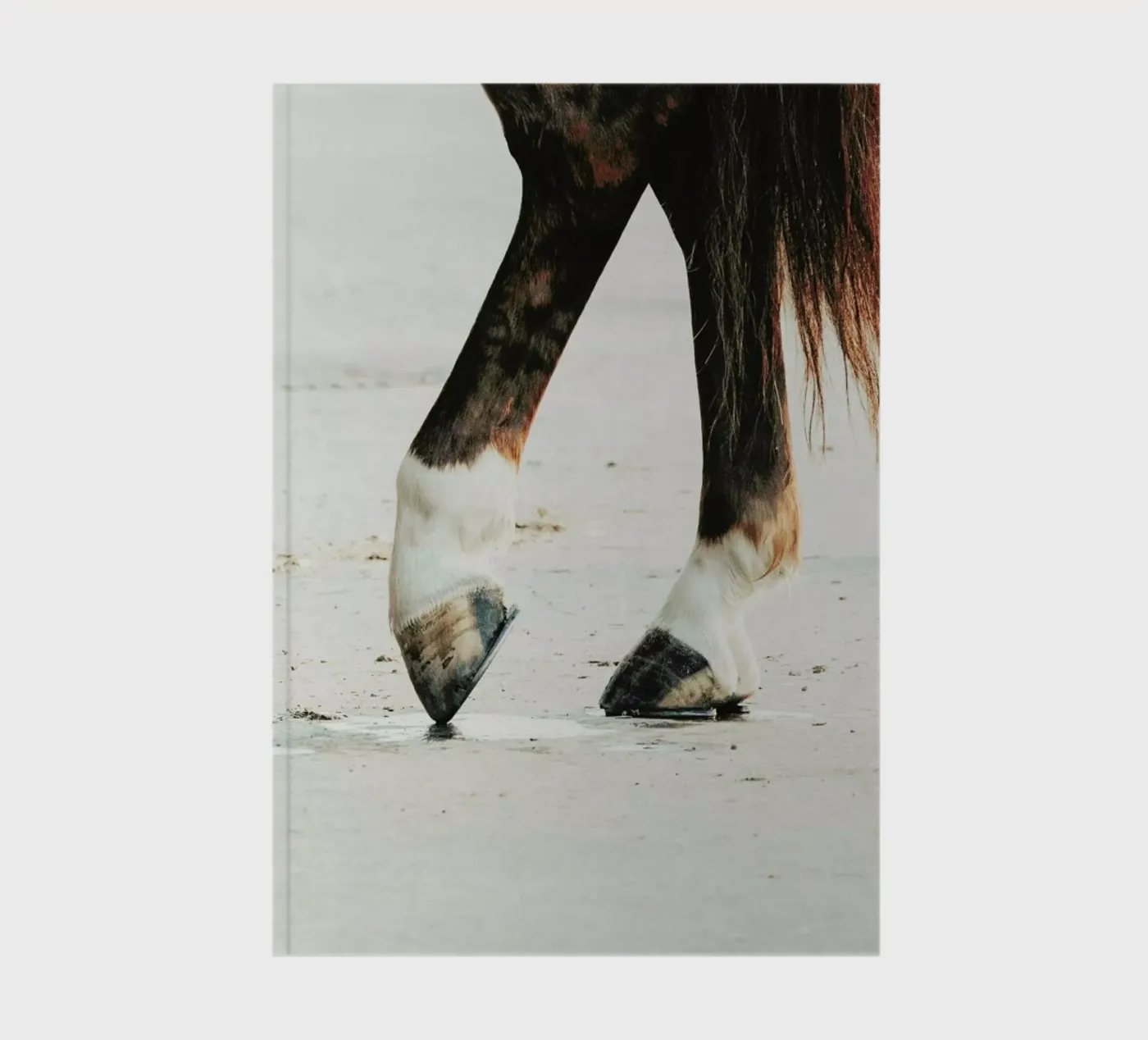 Tango notebook by Ingrid Beddoes