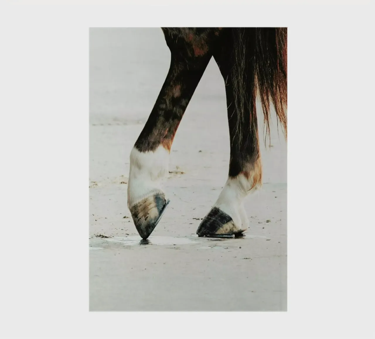 Tango notebook by Ingrid Beddoes