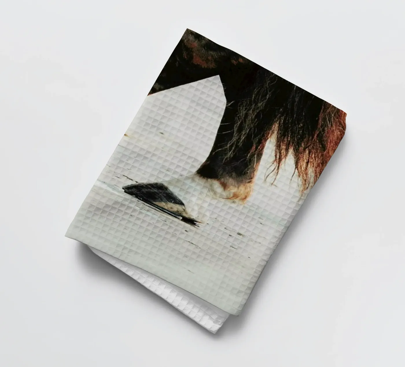 Tango torchon de Ingrid Beddoes