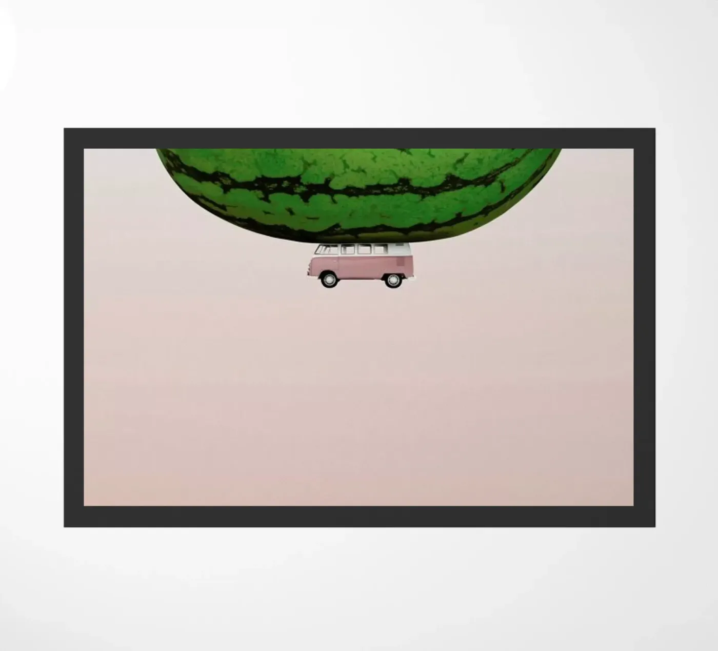 Melon Ship zerbino da Lemon-apes