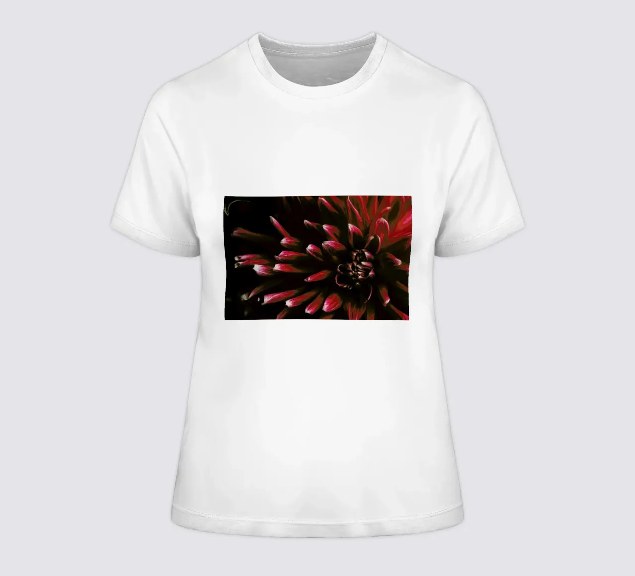 Ruby Red Dahlia Frauen T-Shirt von Ingrid Beddoes