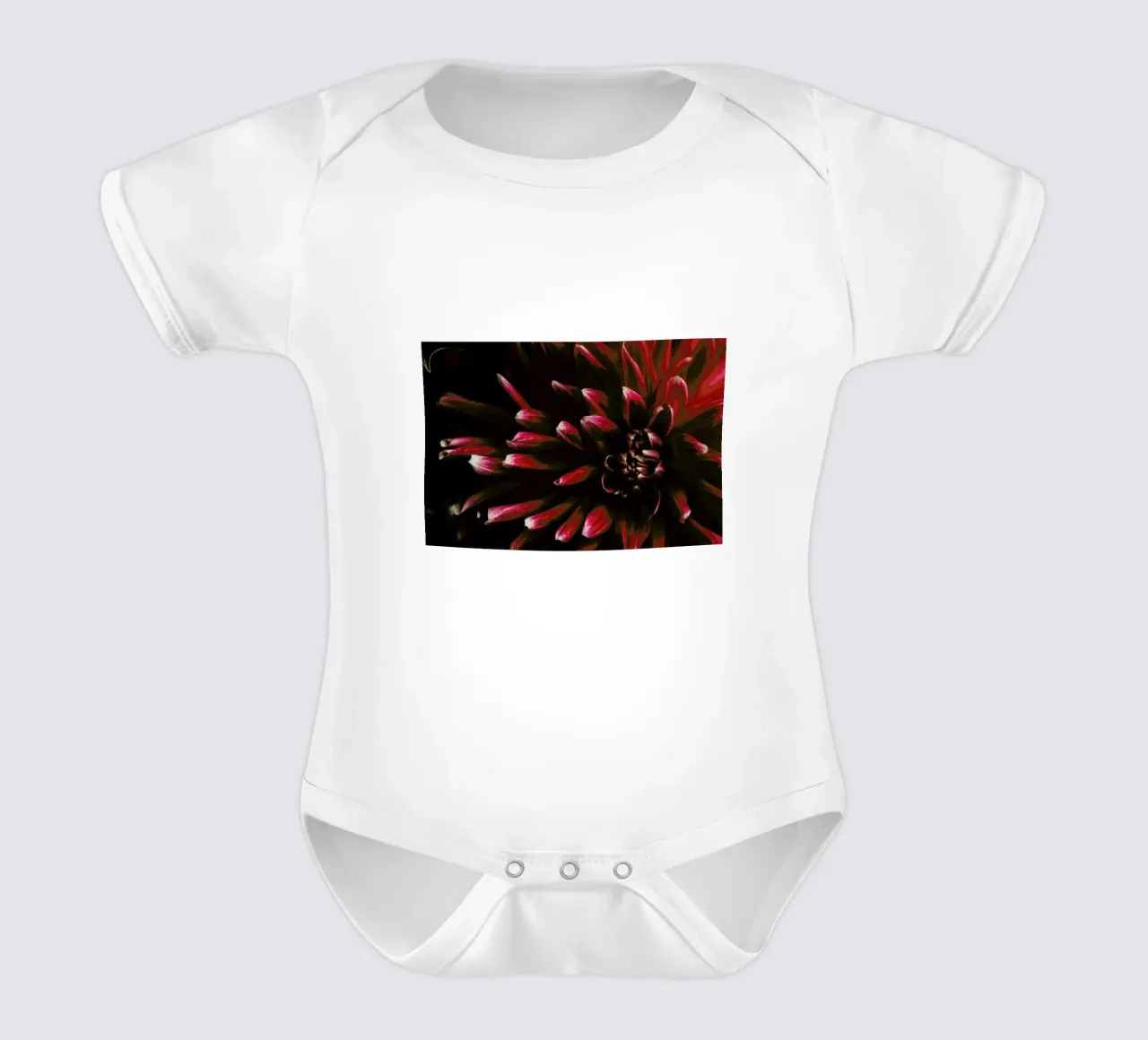 Ruby Red Dahlia body neonato maniche corte da Ingrid Beddoes