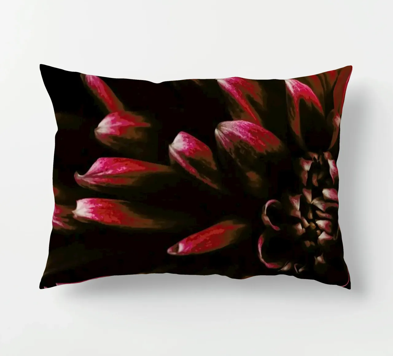 Ruby Red Dahlia cuscino da Ingrid Beddoes