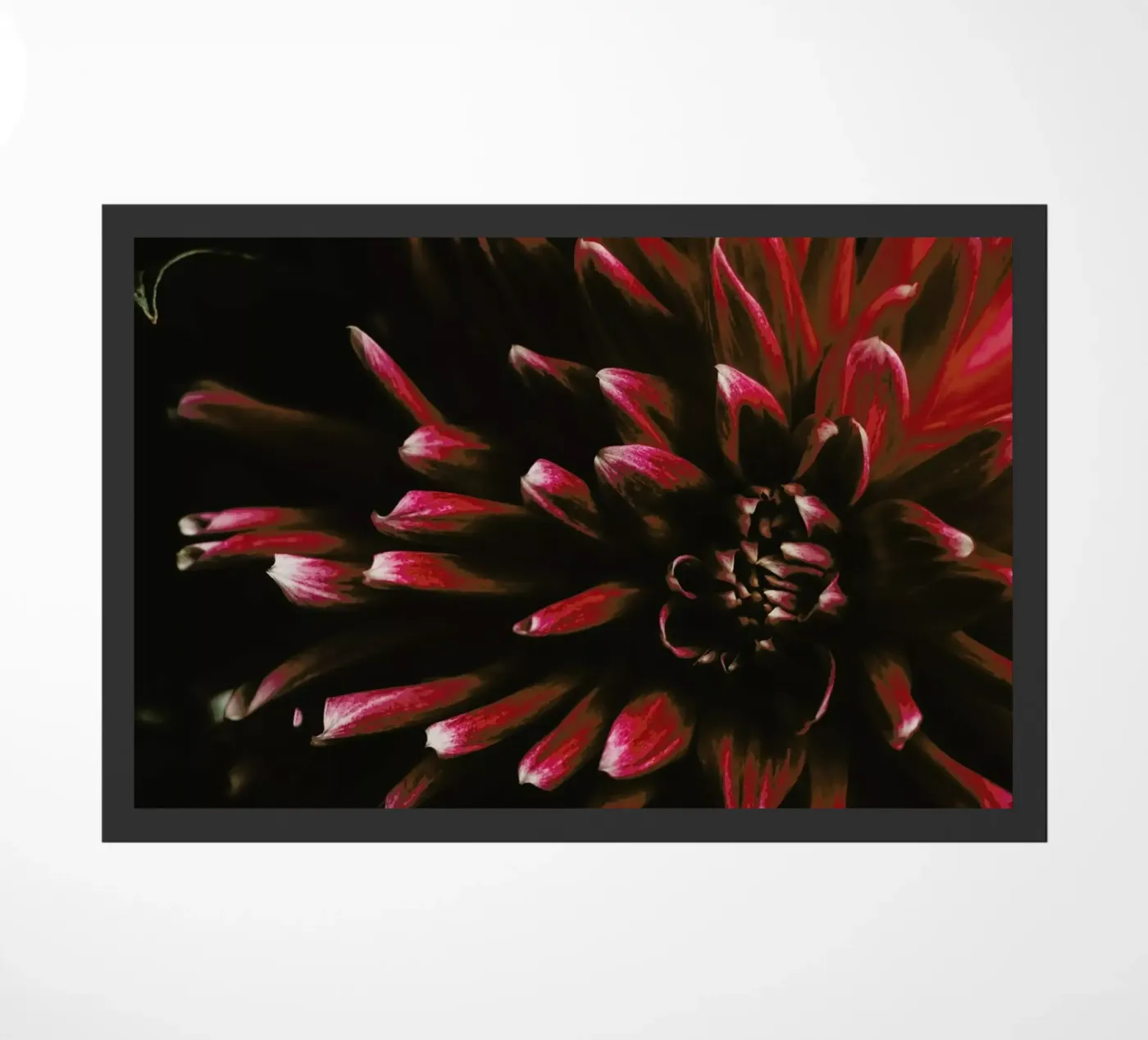 Ruby Red Dahlia Fußmatte von Ingrid Beddoes