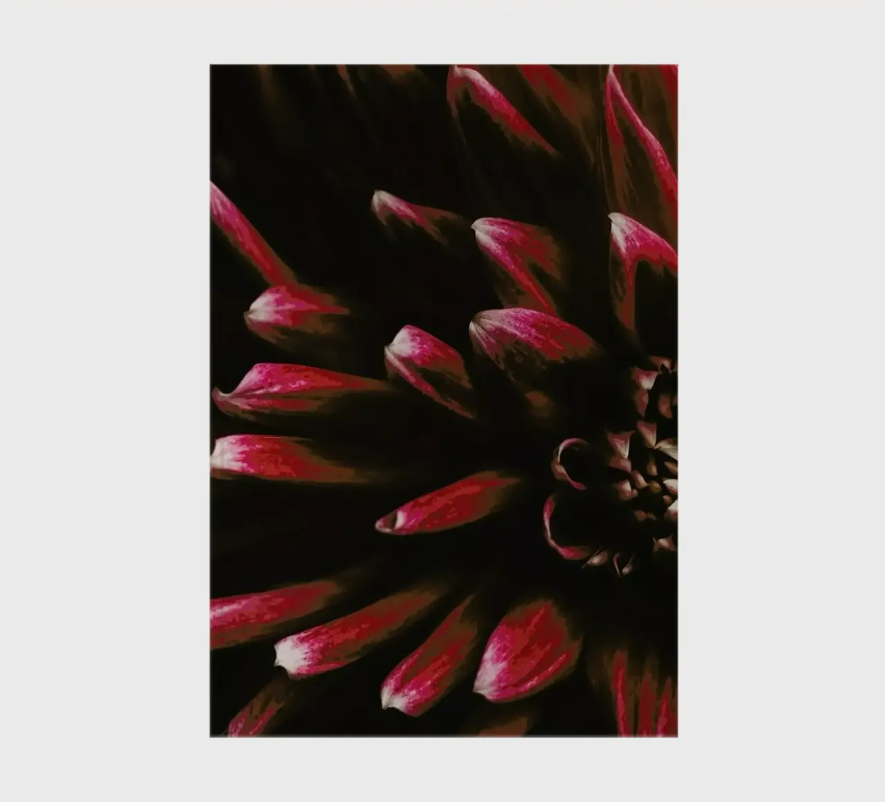 Ruby Red Dahlia notebook by Ingrid Beddoes