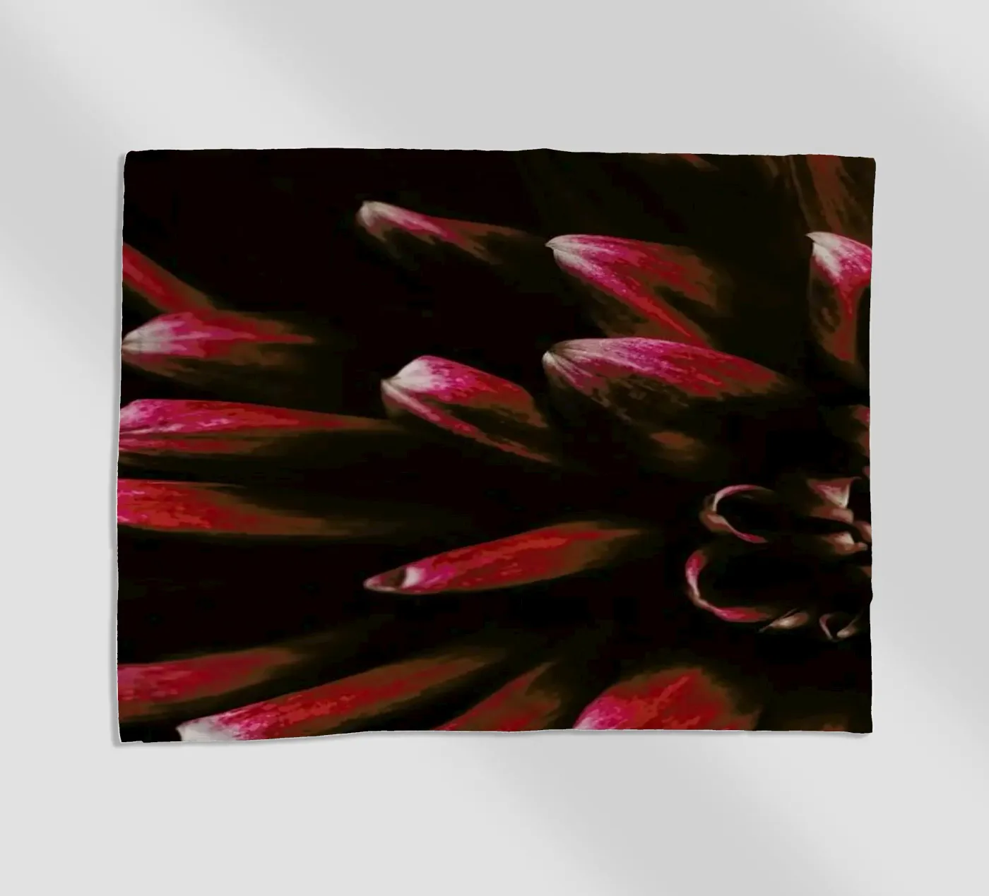 Ruby Red Dahlia telo mare da Ingrid Beddoes