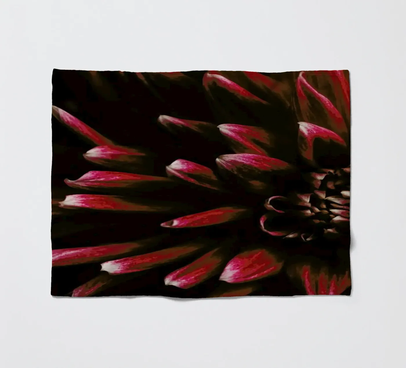 Ruby Red Dahlia Fleecedecke von Ingrid Beddoes