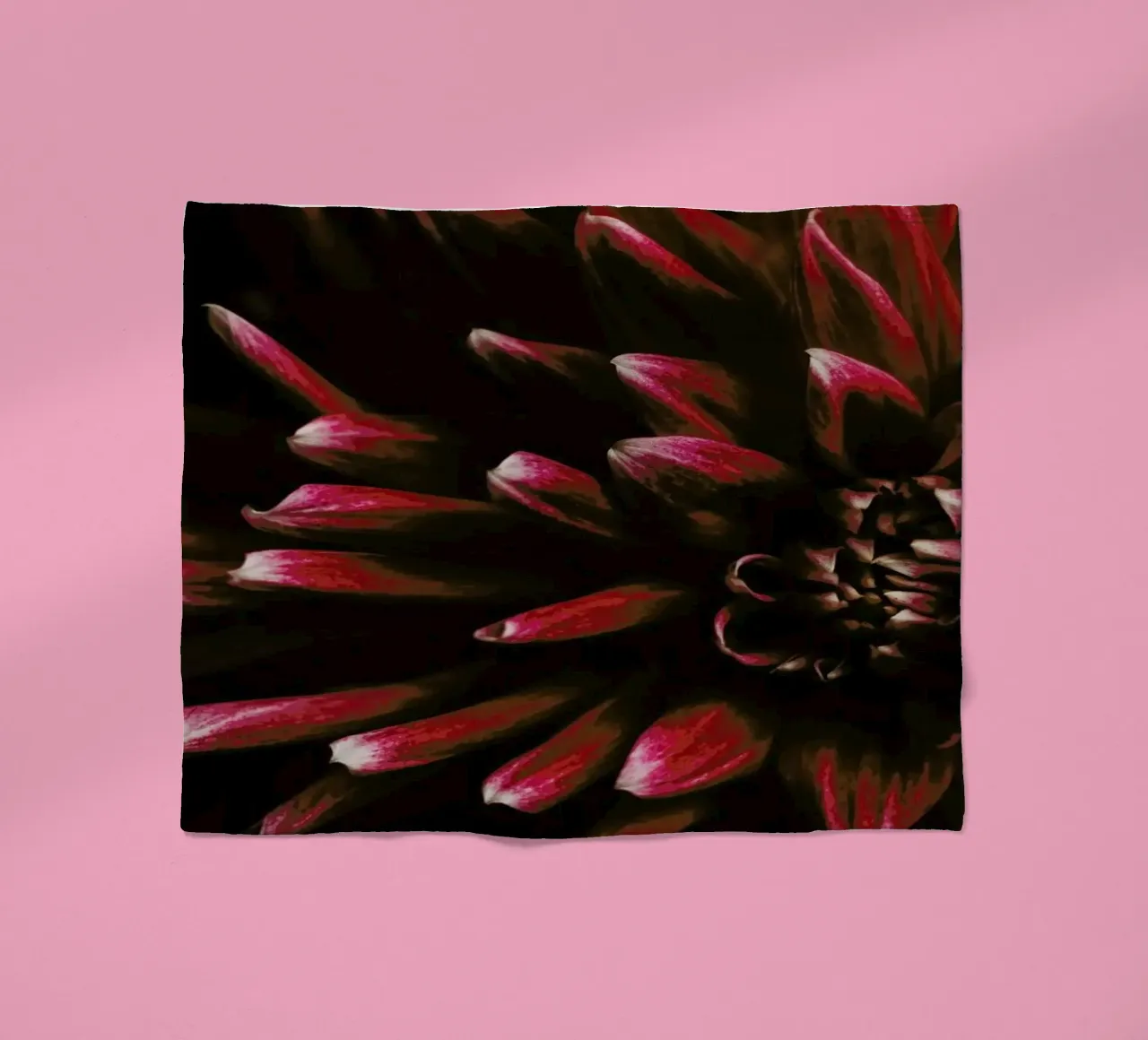 Ruby Red Dahlia coperta in pile da Ingrid Beddoes