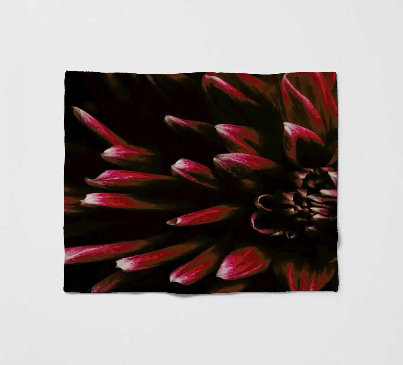 Ruby Red Dahlia Fleecedecke von Ingrid Beddoes