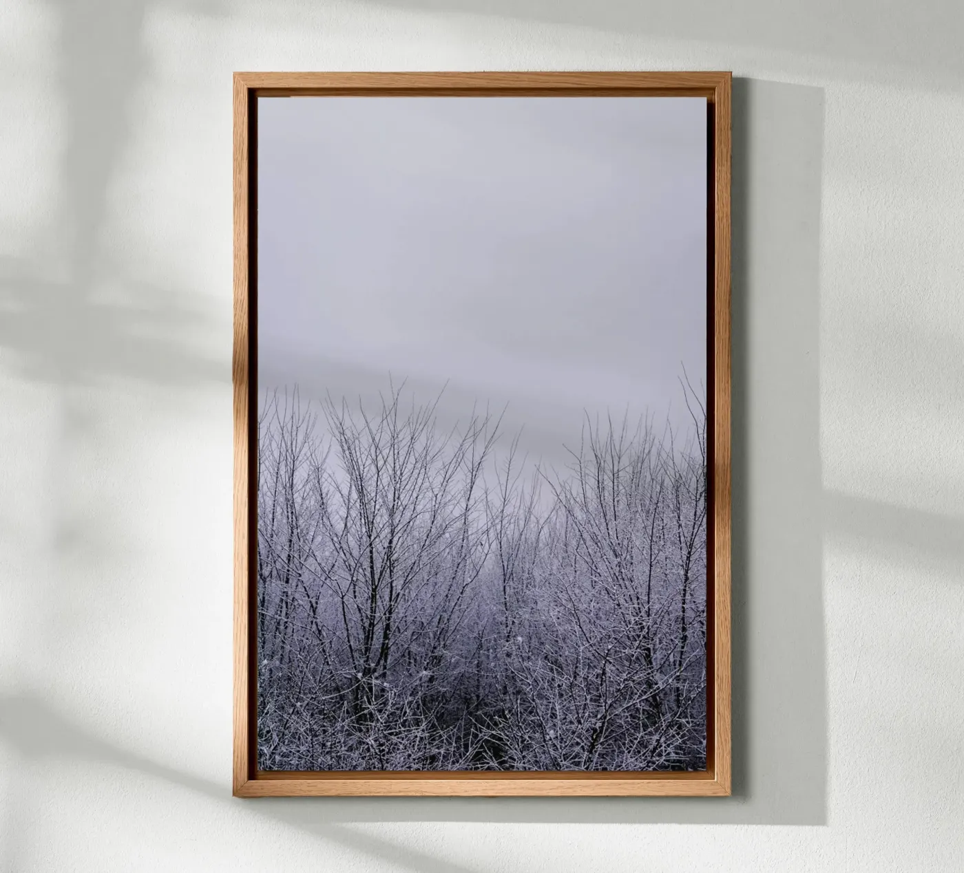 Silence forex plate by Cordula Schaefer