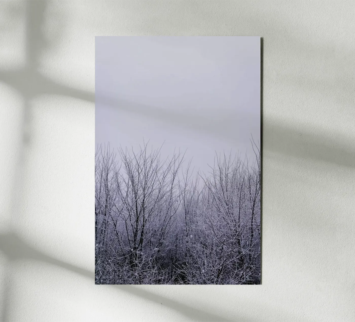 Silence forex plate by Cordula Schaefer