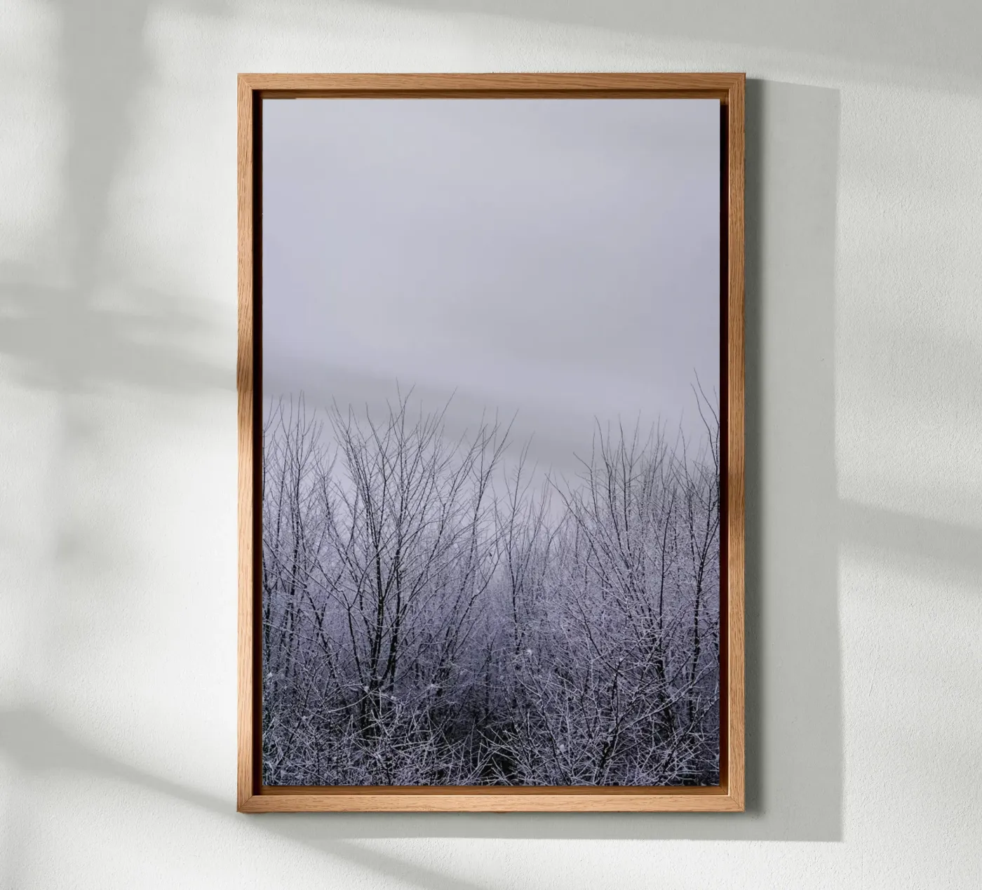 Silence tela da Cordula Schaefer