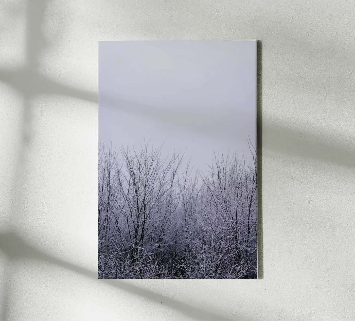 Silence tela da Cordula Schaefer