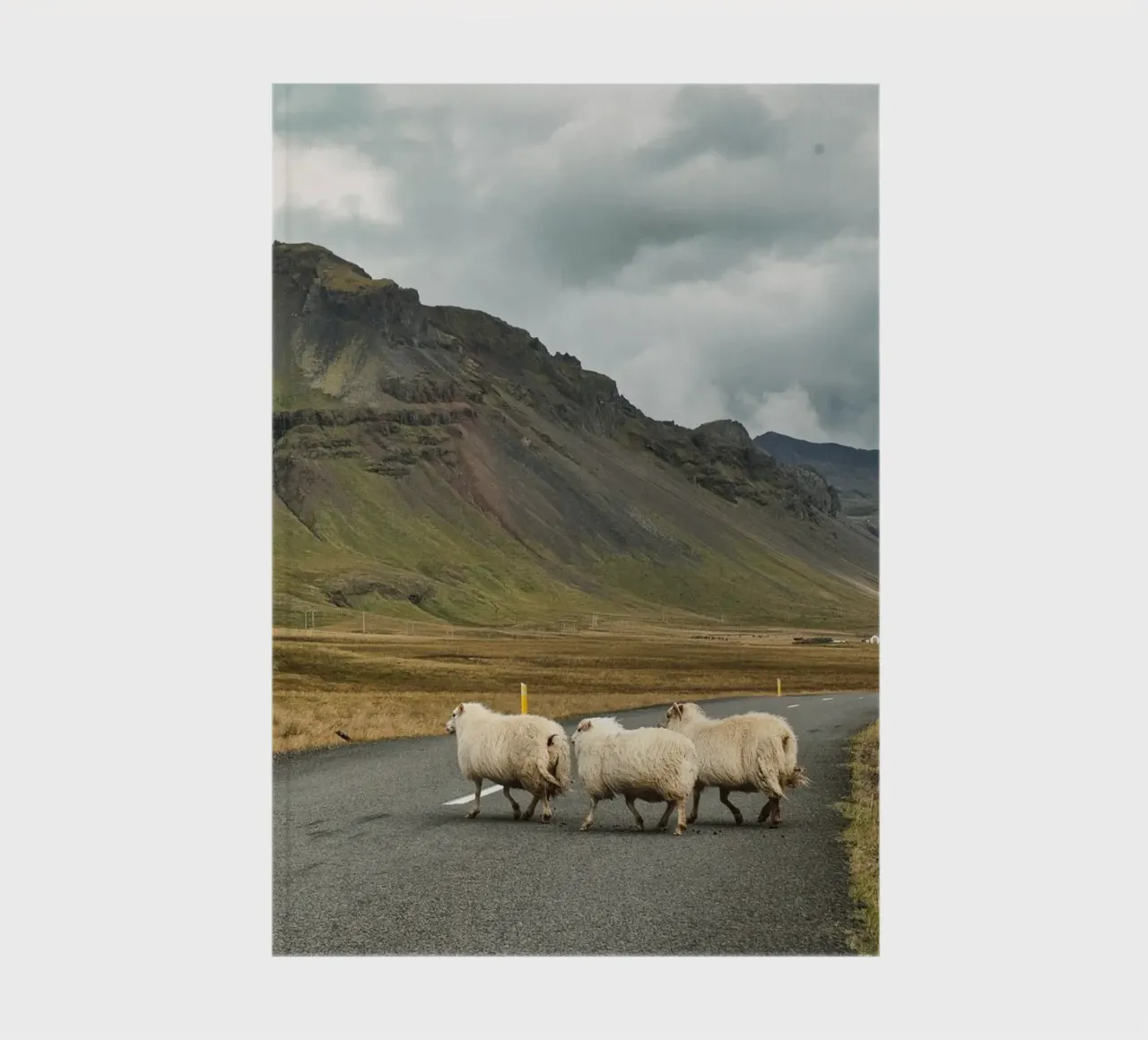Sheep Crossing in Iceland – Scenic Nordic Landscape Print notebook by Ben & Clo creations