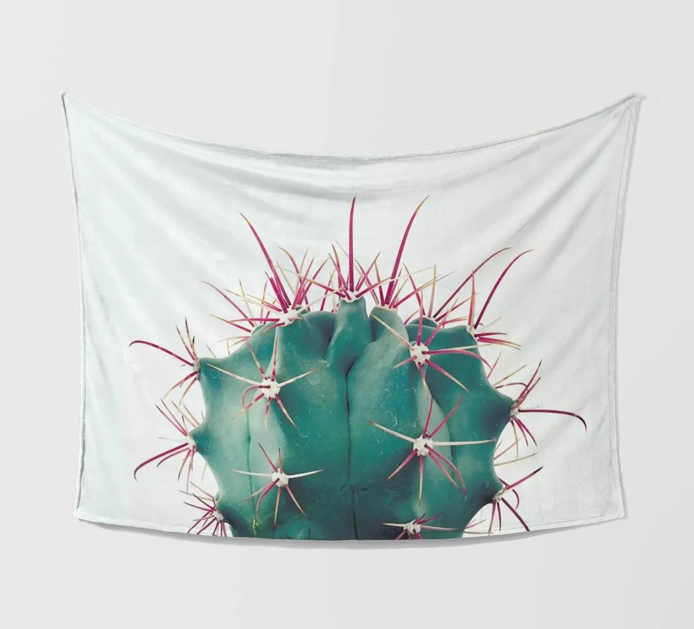 Ferocactus fleecedeken van Cassia Beck Photography