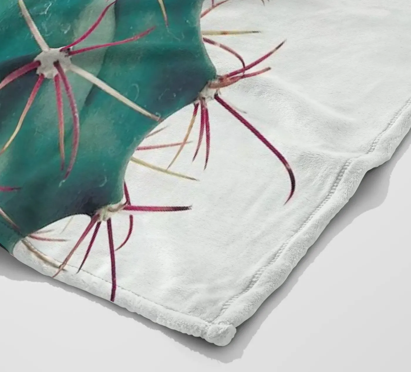 Ferocactus fleecedeken van Cassia Beck Photography