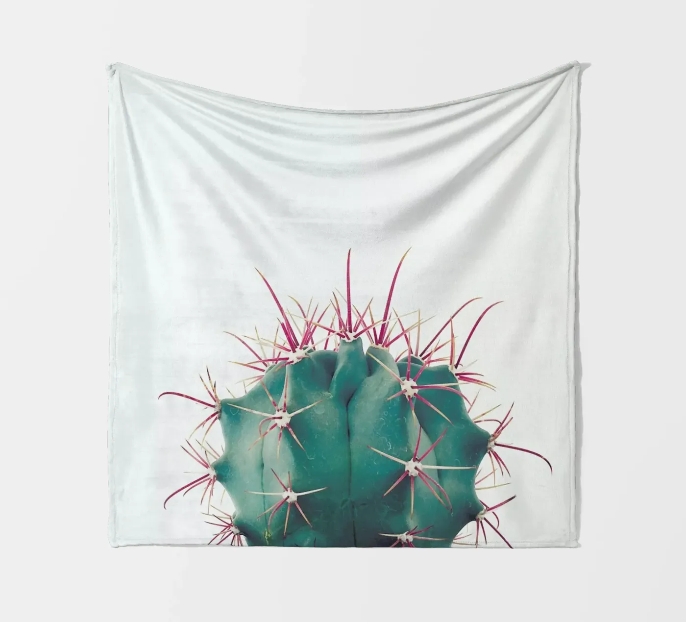 Ferocactus fleecedeken van Cassia Beck Photography