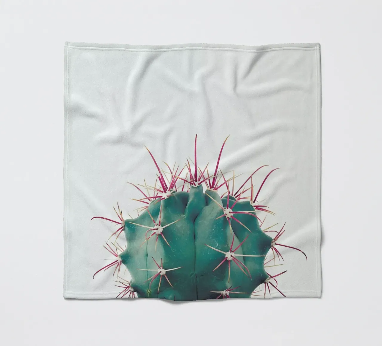 Ferocactus fleecedeken van Cassia Beck Photography