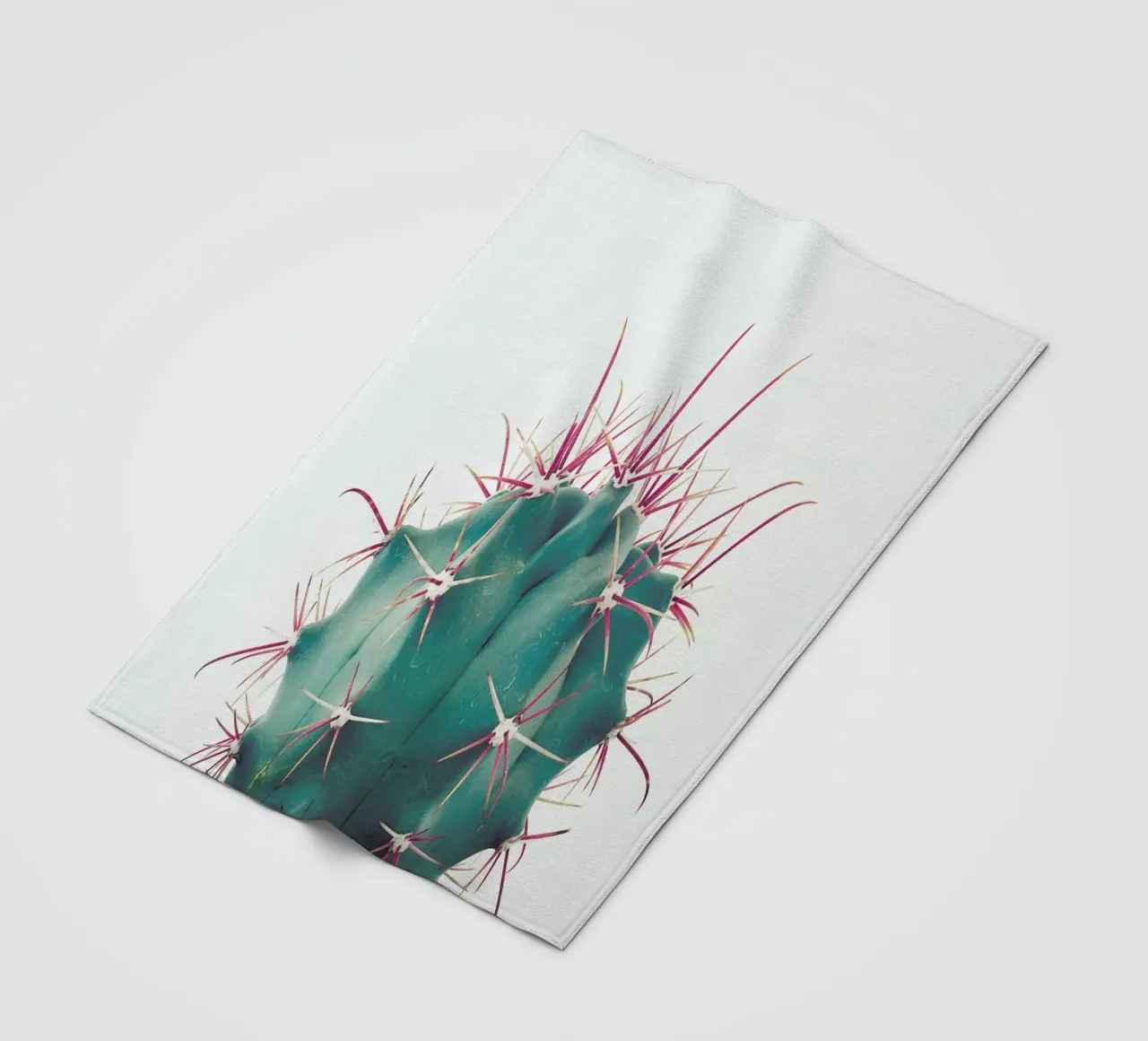 Ferocactus fleecedeken van Cassia Beck Photography