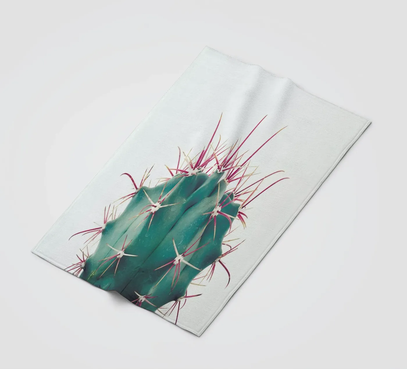 Ferocactus fleecedeken van Cassia Beck Photography