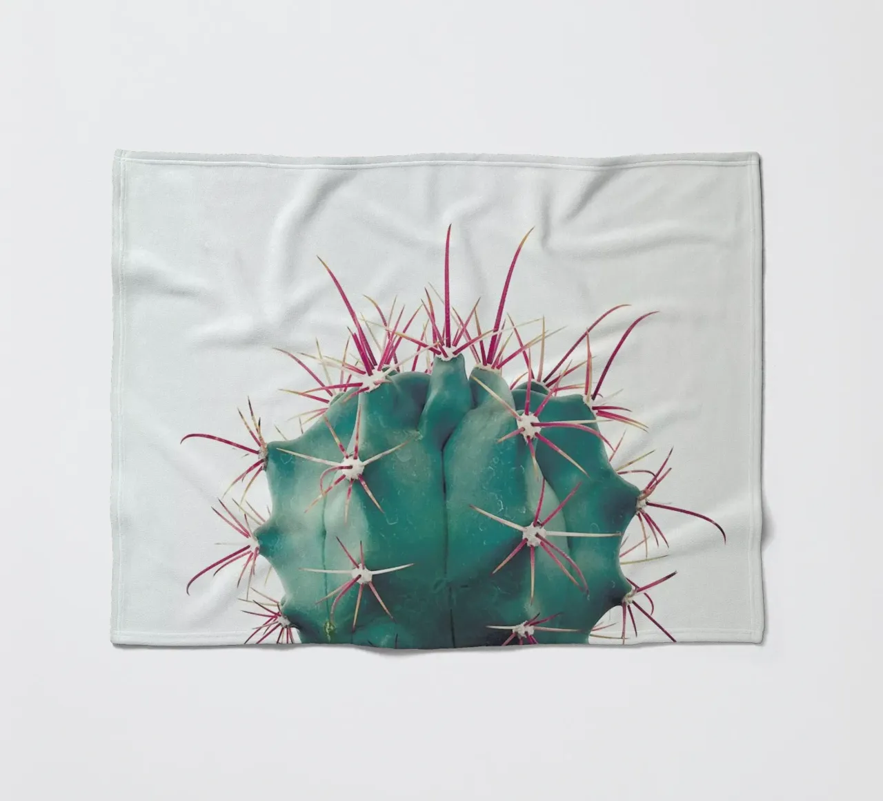 Ferocactus fleecedeken van Cassia Beck Photography