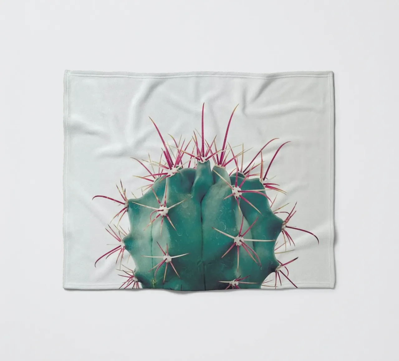 Ferocactus fleecedeken van Cassia Beck Photography