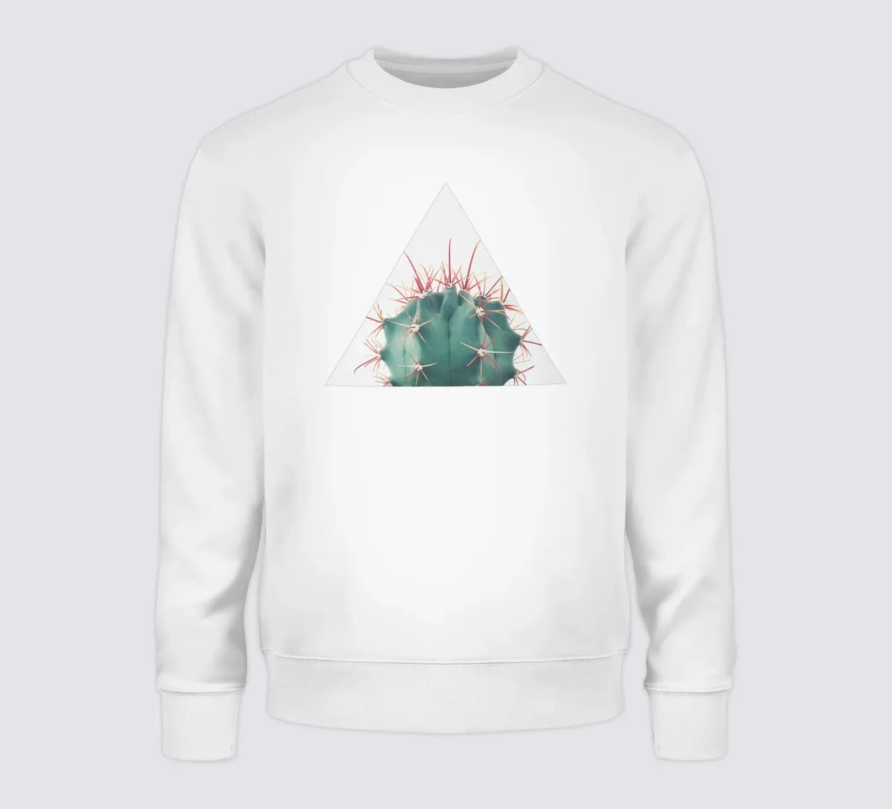 Ferocactus sweatshirt by Cassia Beck Photography