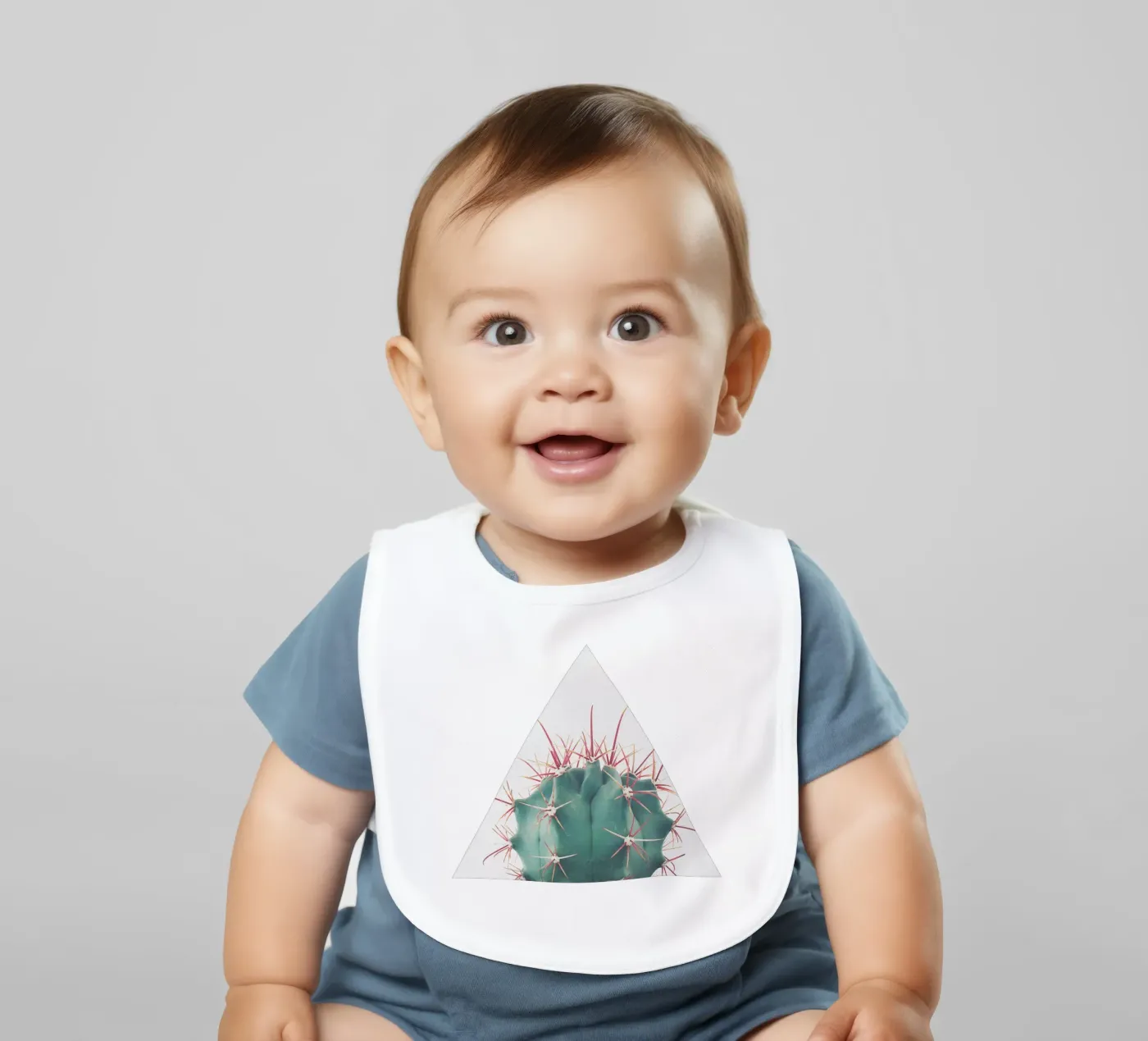 Ferocactus bavaglino da Cassia Beck Photography