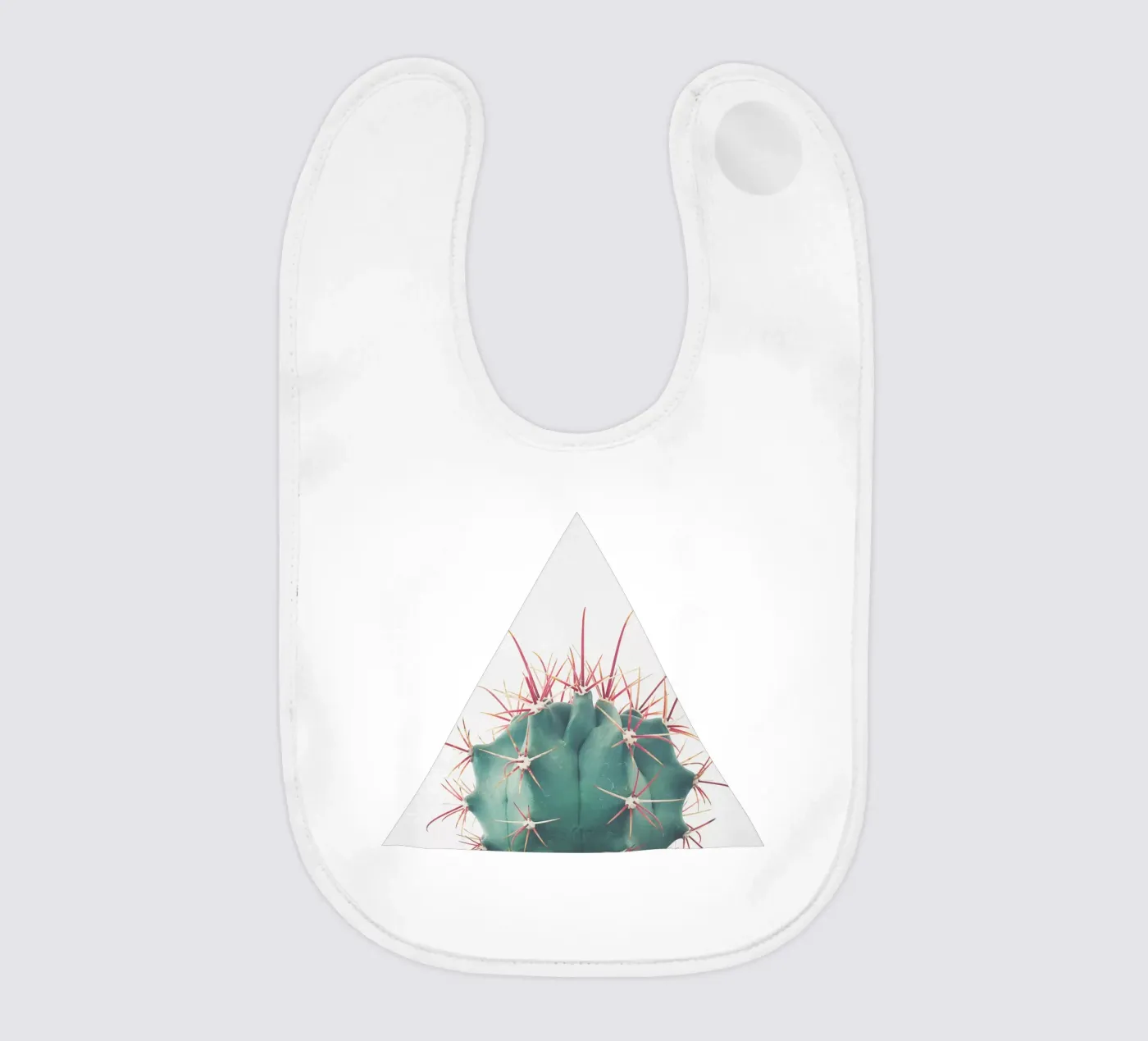 Ferocactus bavaglino da Cassia Beck Photography