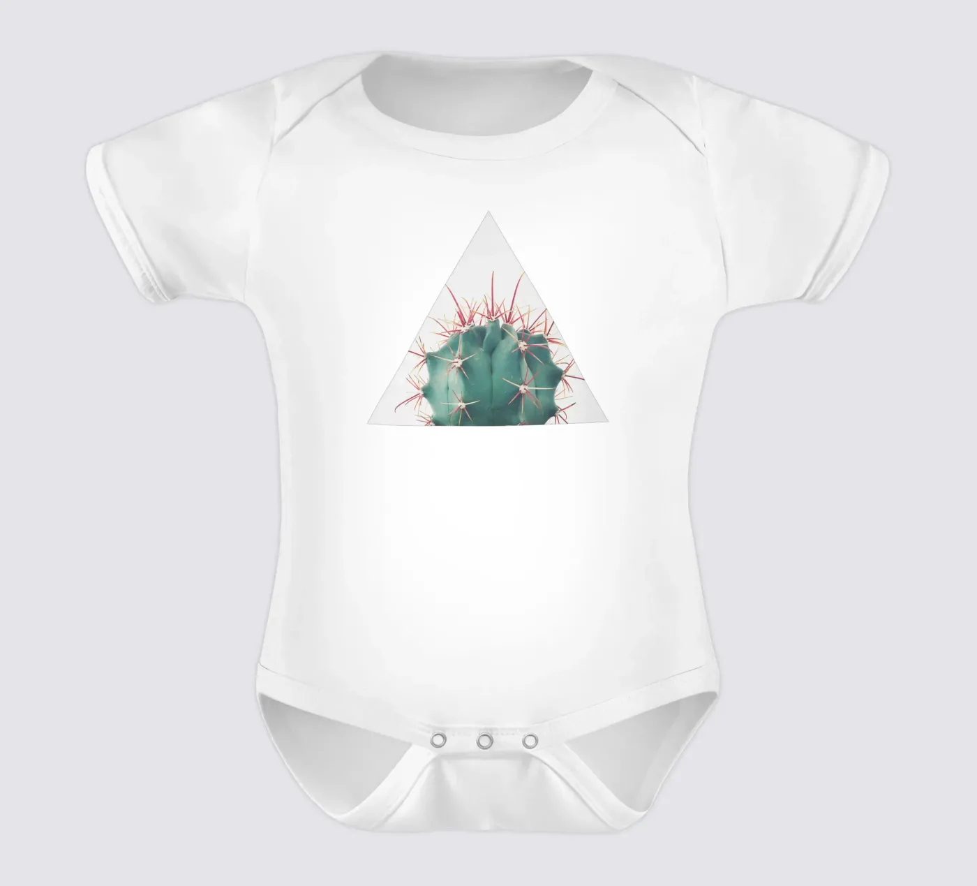 Ferocactus body bébé de Cassia Beck Photography