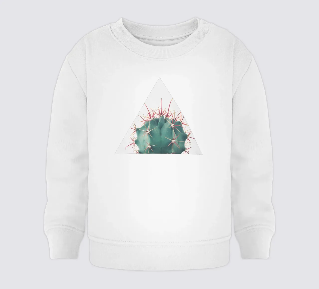 Ferocactus felpa neonato da Cassia Beck Photography