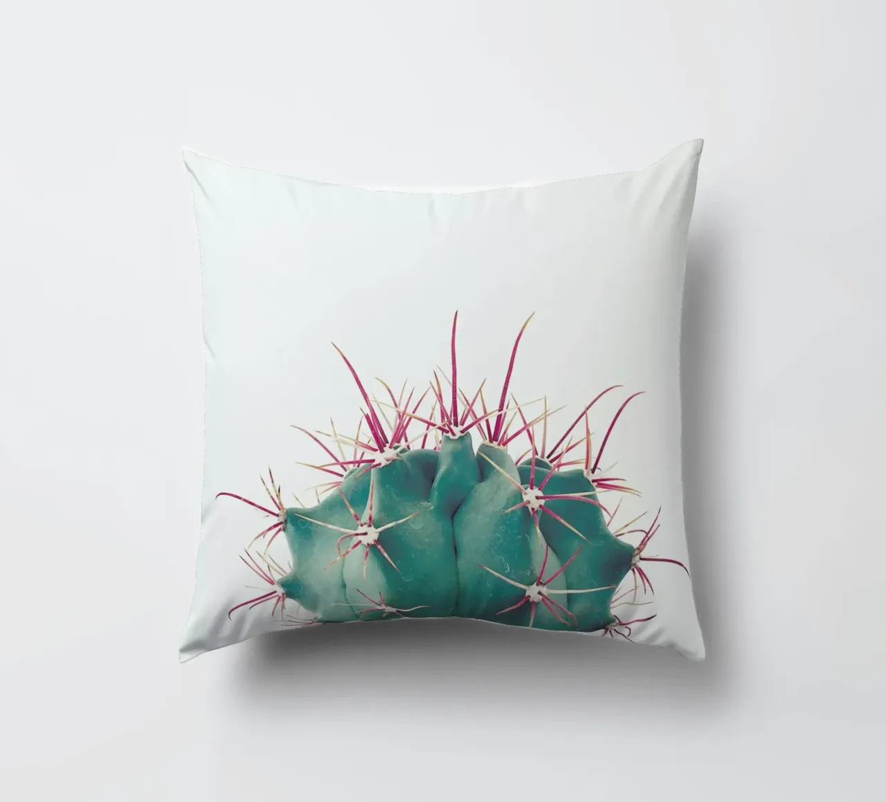 Ferocactus cuscino da Cassia Beck Photography