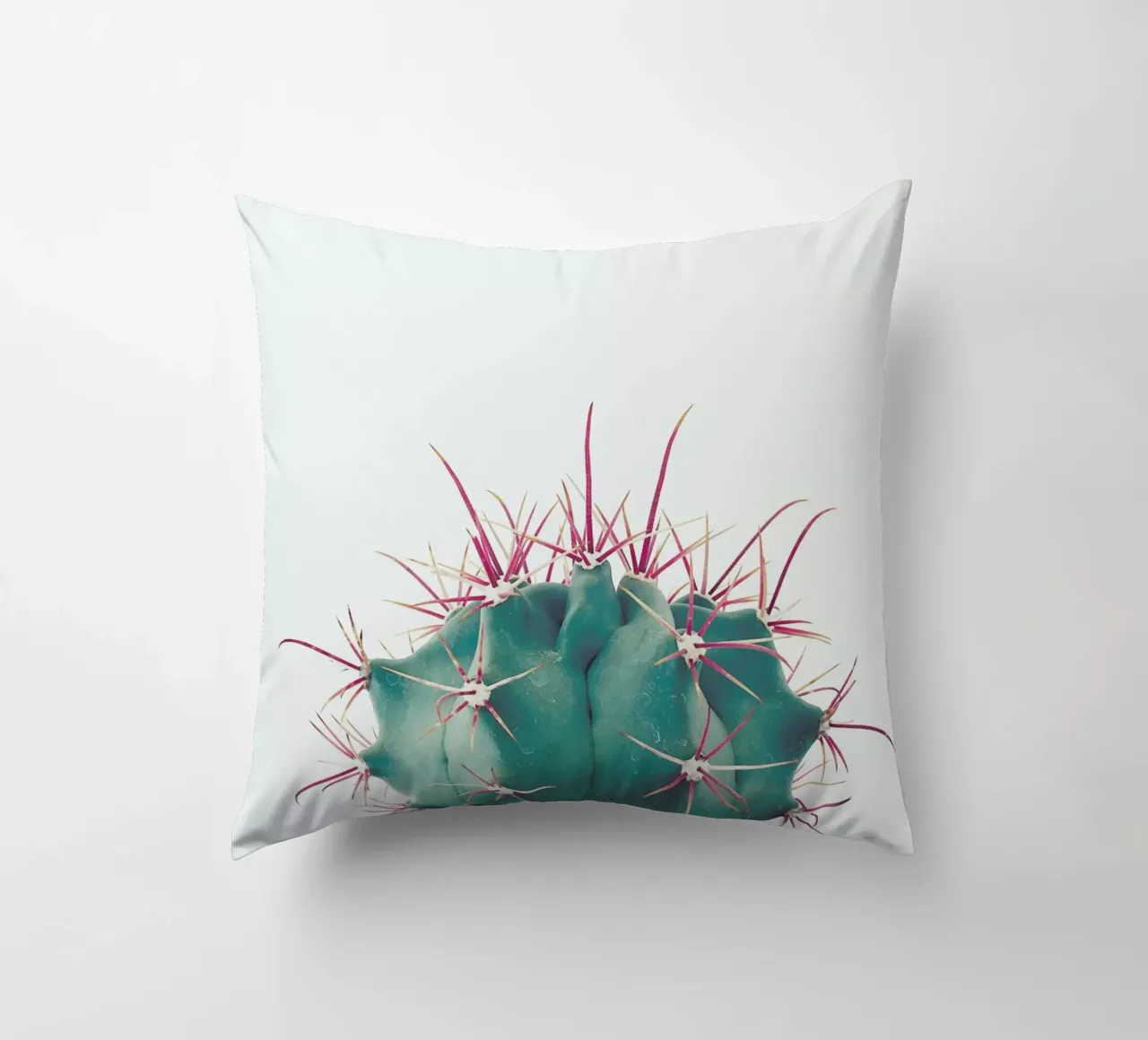 Ferocactus cuscino da Cassia Beck Photography