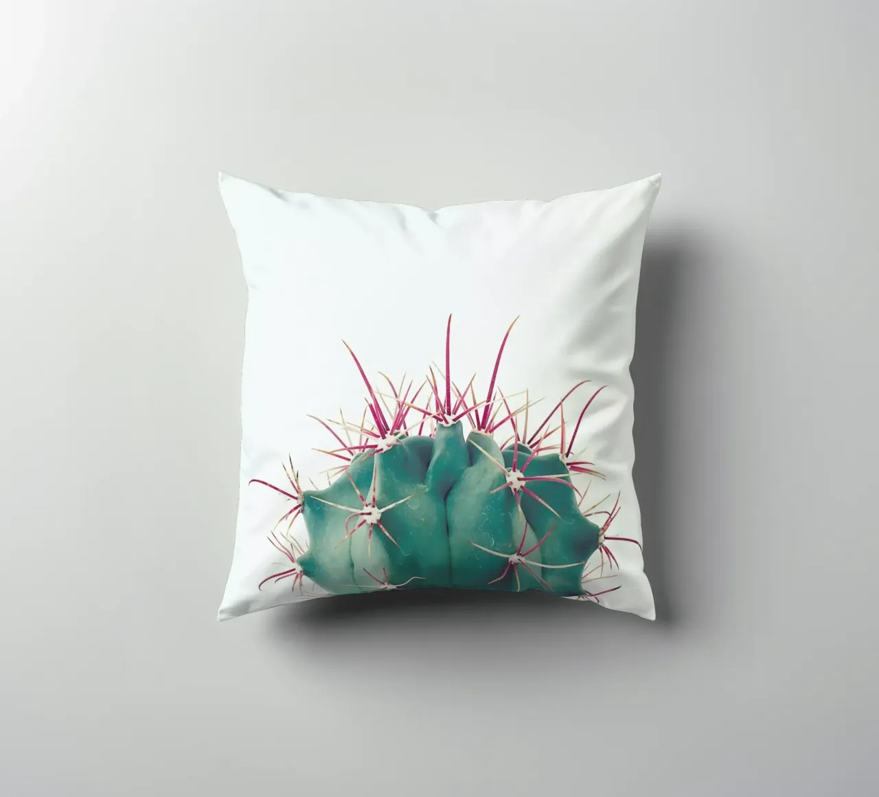 Ferocactus cuscino da Cassia Beck Photography