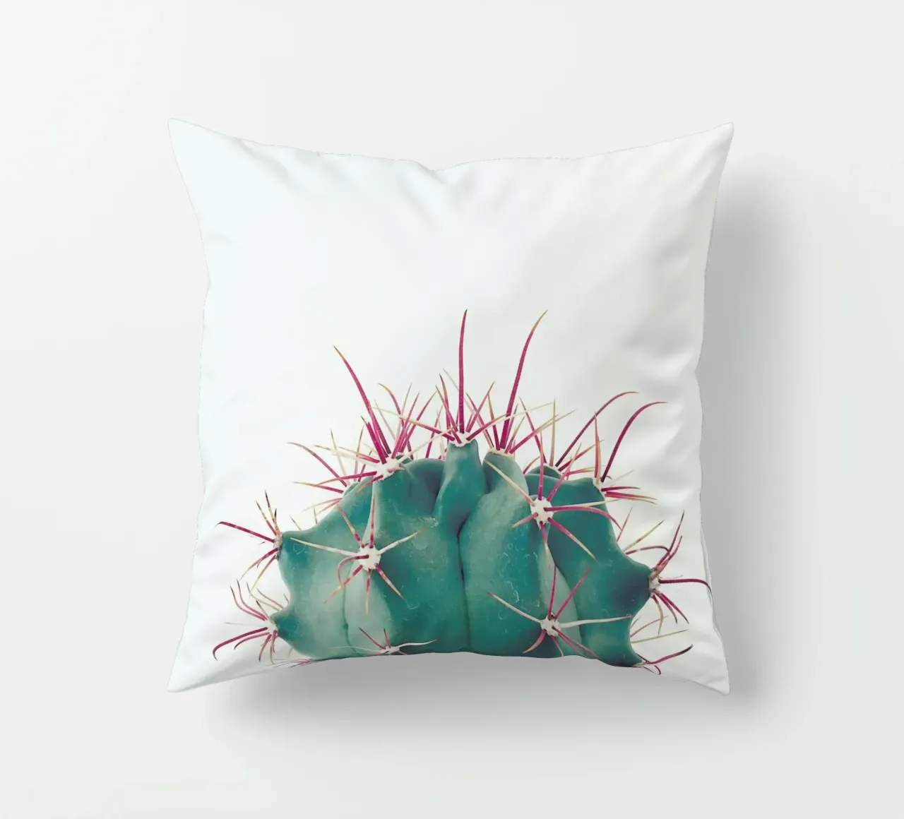 Ferocactus cuscino da Cassia Beck Photography