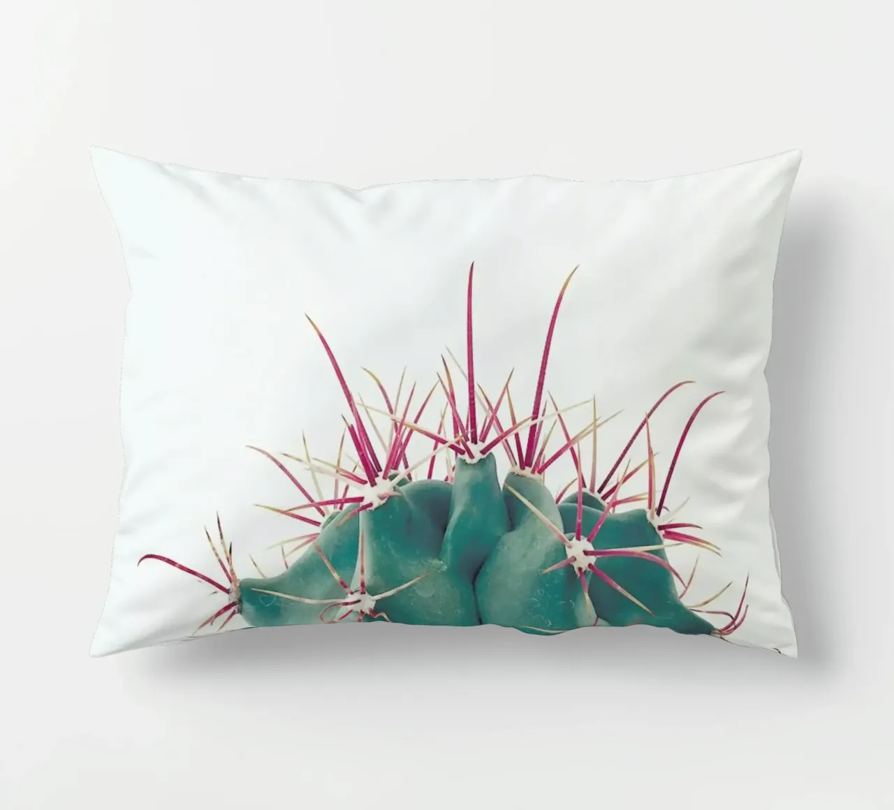 Ferocactus cuscino da Cassia Beck Photography