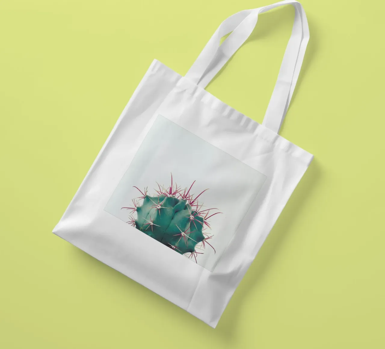 Ferocactus borsa in juta da Cassia Beck Photography