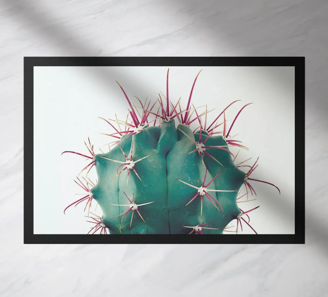 Ferocactus doormat by Cassia Beck Photography