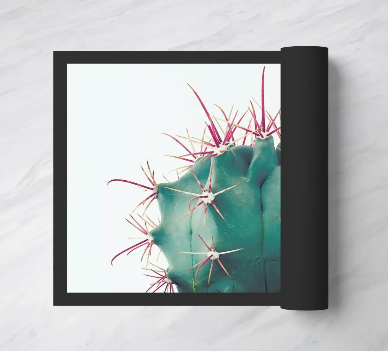Ferocactus doormat by Cassia Beck Photography