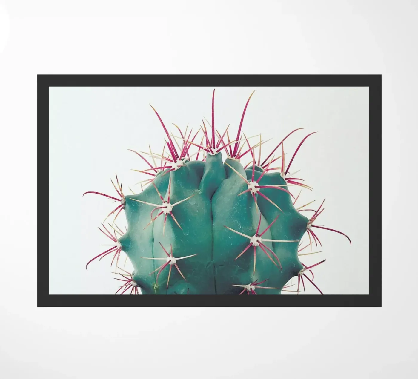 Ferocactus deurmat van Cassia Beck Photography