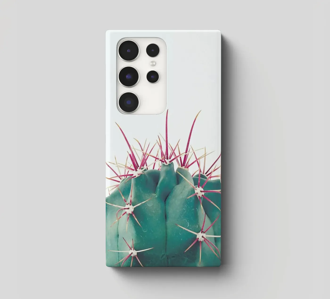 Ferocactus cover samsung da Cassia Beck Photography