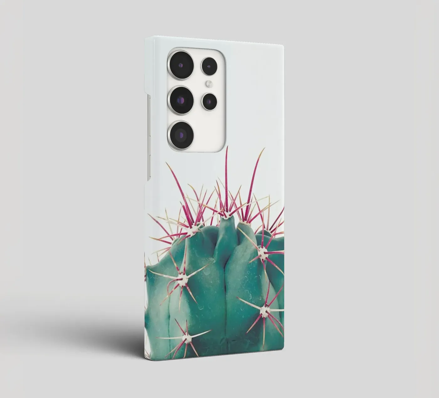 Ferocactus cover samsung da Cassia Beck Photography