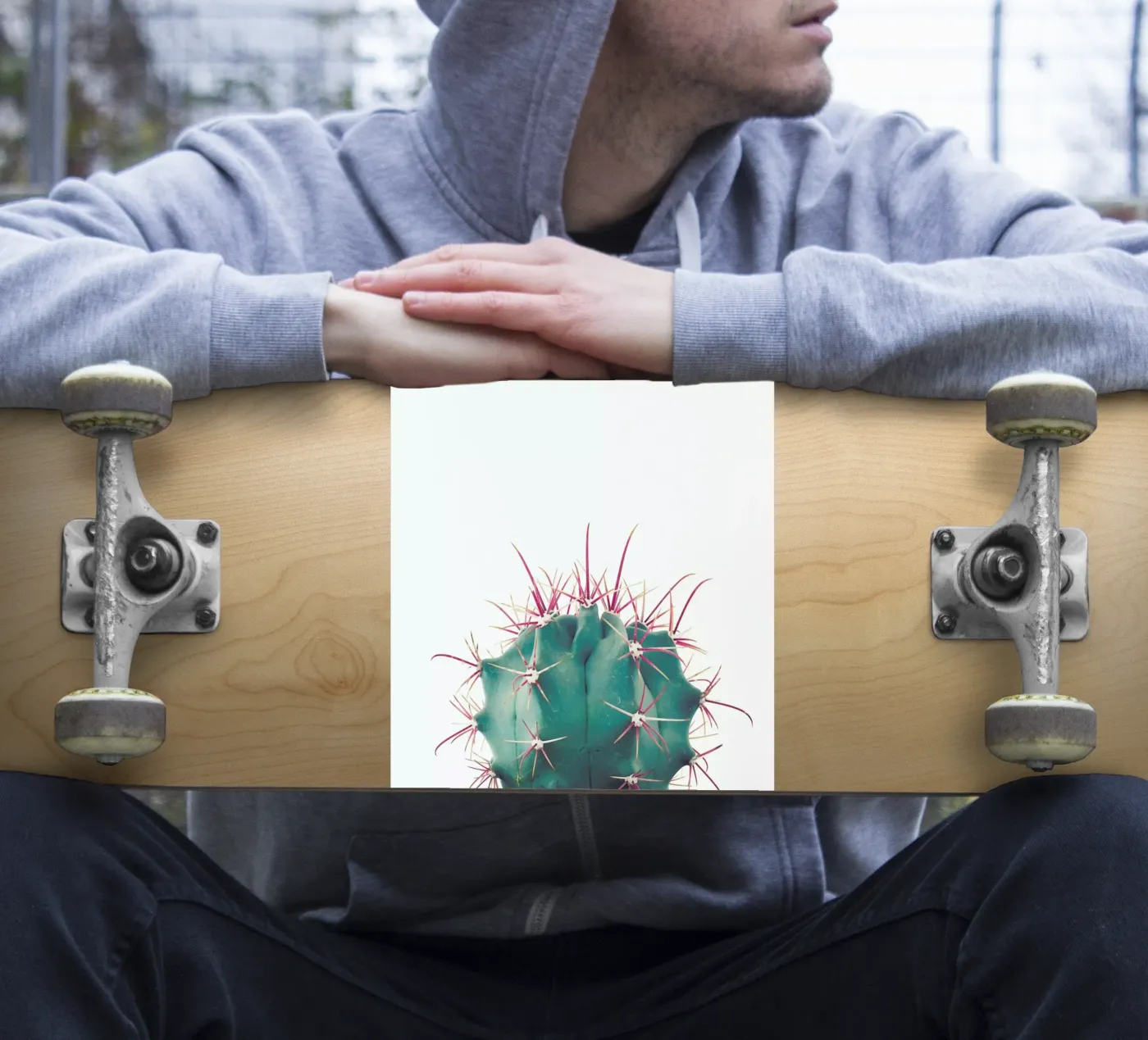 Ferocactus sticker van Cassia Beck Photography