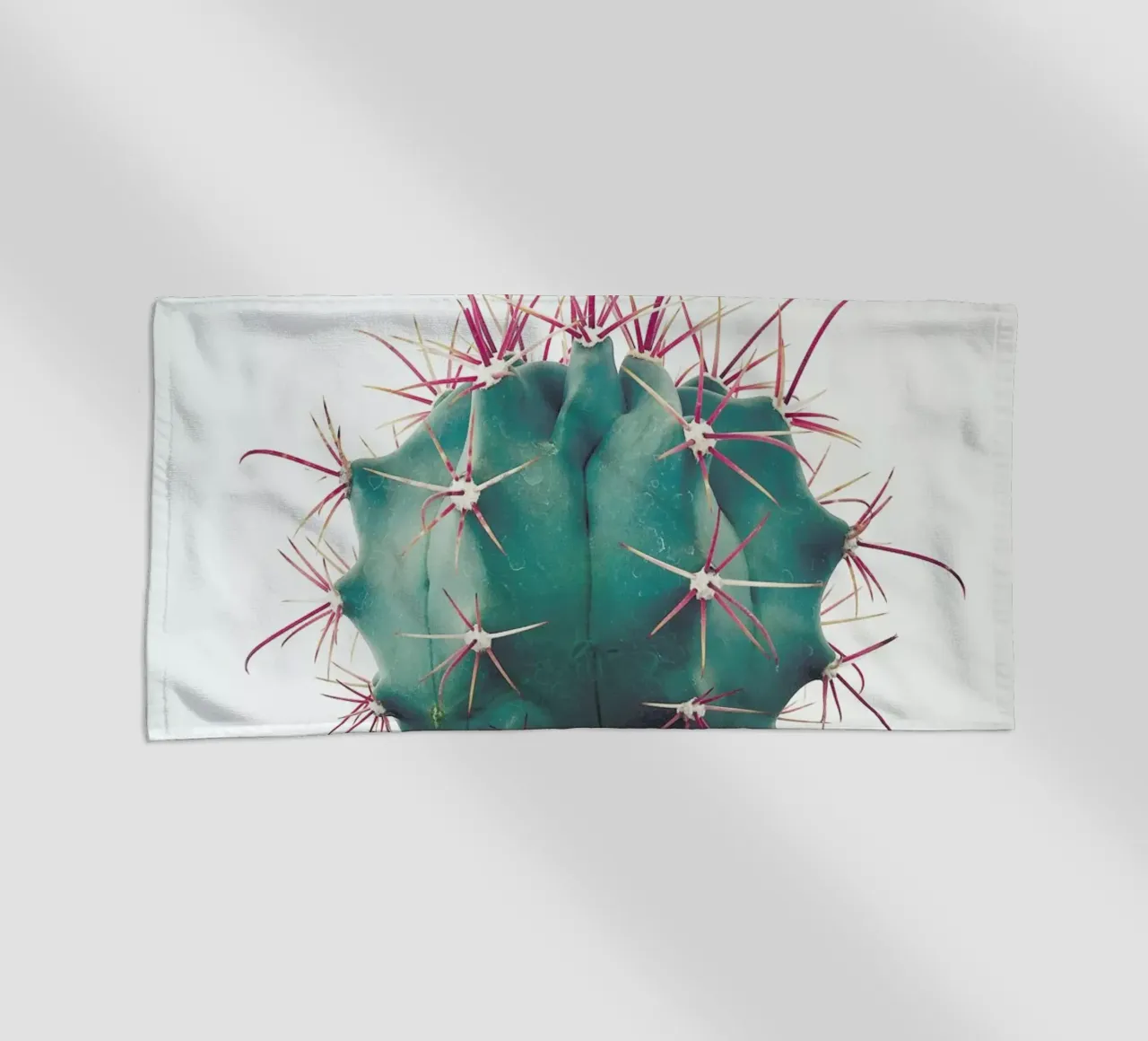 Ferocactus telo mare da Cassia Beck Photography